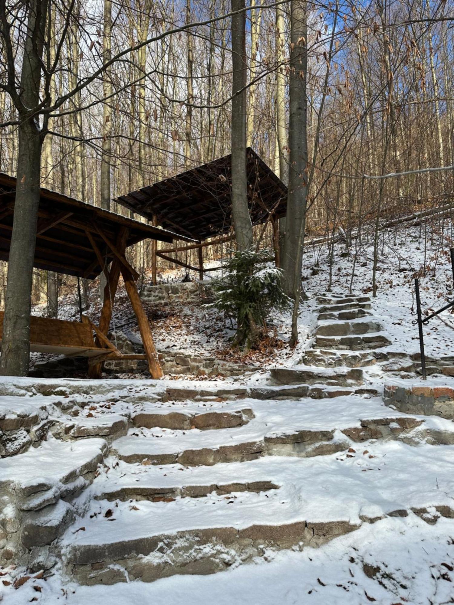 Villa Домик В Горах Tur'ya Paseka Esterno foto